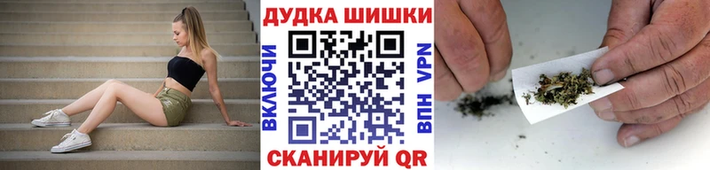 A PVP Мураши