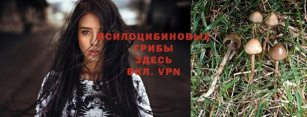 кокаин Алексин